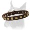 Astonishing Boxer breed Leather Collar with a row of Brass Circles