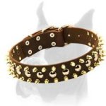 Astonishing Leather Spiked Studded Dog Collar for Boxer