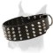 Extra Wide Leather Collar for Boxer with 4 Rows of Pyramids