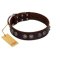 "King Arthur" FDT Artisan Brown Leather Boxer Collar with Spiky Plates