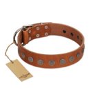 "Lucky Star" Handmade FDT Artisan Designer Tan Leather Boxer Collar with Round Plates