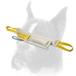 Fire Hose Bite Tugs Training Set