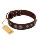 "Choco Brownie" FDT Artisan Brown Leather Boxer Collar Adorned with Silver-Like Conchos