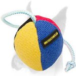 High quality Boxer toy ball for training