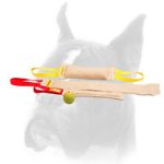 Puppy Training Set for Efficient Training