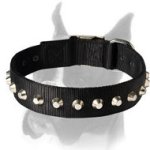 Gorgeous Wide Nylon Dog Collar With Nickel Truncated Cones