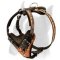 Handcrafted Leather Harness for Boxer Breed with Unique Fire Painting