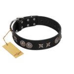 "Scythian Silver" Stylish Handmade FDT Artisan Black Leather Boxer Collar