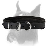 Handcrafted Leather Dog Collar Padded for Comfort