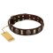 "Skull's Adventure" FDT Artisan Brown Leather Boxer Collar with Plates and Ovals