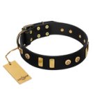 "Rare Dog" FDT Artisan Black Leather Boxer Collar with Old Bronze-like Dotted Studs and Tiles