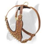 Fantastic Spiked leather Boxer Harness