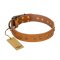 "Autumn Story" FDT Artisan Leather Boxer Collar with Old Bronze Look Studs