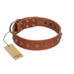 "Broadway" Handmade FDT Artisan Tan Leather Boxer Collar with Dotted Pyramids