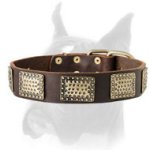 Luxury Leather Dog Collar for Boxer