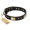 "Black Sun" FDT Artisan Leather Boxer Collar with Brass Plated Decorations