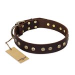 "Bronze Sheen" FDT Artisan Leather Boxer Collar with Brass-Plated Studs