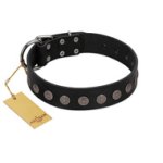 "Silent Star" Handmade FDT Artisan Designer Black Leather Boxer Collar with Engraved Plates