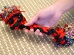 Washable Fiber Bone for Playing with Boxer