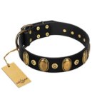 "Venerable Pawty" FDT Artisan Black Leather Boxer Collar with Old Bronze-like Ovals and Studs