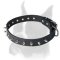 Spiked leather collar for Boxer
