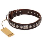 "Pierian spring" FDT Artisan Brown Leather Boxer Collar with Silvery Decorations
