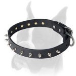 Spiked leather collar for Boxer