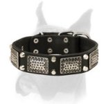 Perfect Leather Collar With Nickel Pyramids And Plates For Boxer