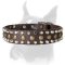 Fascinating Boxer Collar with Pyramids and Studs