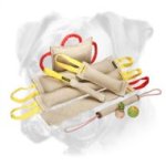 Fantastic Dog Training Set