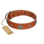 "Marine Antiques" Handmade FDT Artisan Tan Leather Boxer Collar with Blue Stones