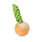 Round Ball Dog Chew Toy-Hygiene Dog Ball for Boxer - Medium 2 1/3 inch (6 cm)