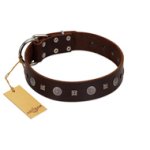 "Pure Sensation" Exclusive FDT Artisan Brown Leather Boxer Collar with Fancy Brooches and Studs