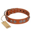 "Woofy Majesty" FDT Artisan Tan Leather Boxer Collar with Round Silver-like Plates
