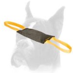 Firm Bite Leather Tug for Boxer Training