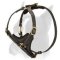 Exclusive Luxury Leather Boxer Dog Harness