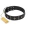 "Star Excitement" Modern FDT Artisan Black Leather Boxer Collar with Studs and Stars