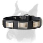 Handcrafted Leather Dog Collar with Massive Nickel Plates