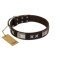 "Satin Beauts" FDT Artisan Brown Leather Boxer Collar with Stars and Plates
