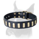 Stylish leather Boxer collar with plates for everyday walking and training