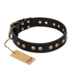 "Black Elegance" FDT Artisan Leather Boxer Collar with Round Studs