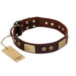"Shining Armour" FDT Artisan Brown Leather Boxer Collar with Decorations