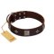 "Cold Star" Designer FDT Artisan Brown Leather Boxer Collar with Silver-Like Adornments