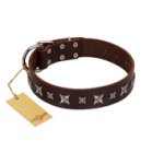 "Stellar Fairy " FDT Artisan Brown Leather Boxer Collar with Chrome-plated Star-like Decorations
