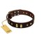 "Blinking Illusion" FDT Artisan Brown Leather Boxer Collar with Old Bronze-like Studs and Plates