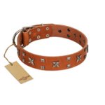 "Faraway Galaxy" FDT Artisan Tan Leather Boxer Collar Adorned with Stars and Squares