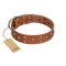"Enchanted Skulls" FDT Artisan Tan Leather Boxer Collar with Chrome Plated Skulls