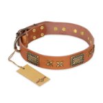 "Cosmic Traveller" FDT Artisan Adorned Leather Boxer Collar with Old Bronze-Plated Stars and Plates