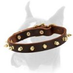 Boxer Leather Spiked Dog Collar for easy handling