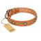 "Feast of Luxury" FDT Artisan Tan Leather Boxer Collar with Old Bronze Look Circles